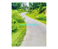 3 acre agricultural land for sale in Chikmagalur