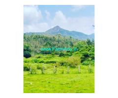 3 acre agricultural land for sale in Chikmagalur