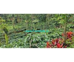 6 Acre Well Maintained Estate For Sale In Kalasa Road