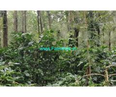 1.3 Acre Coffee Plantation With 5bhk House For Sale In Chikmagalur