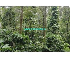 1.3 Acre Coffee Plantation With 5bhk House For Sale In Chikmagalur