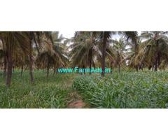 7.5 acres agriculture land for sale in Hiriyur