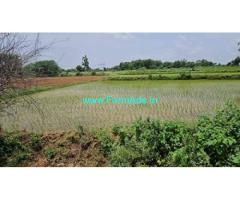 1.20 Acres Agriculture land for sale near Akkannapet Mandal