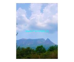 10 acres coffee estate for sale in Chikmagalur