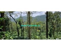 1.5 acre coffee plantation for sale in Mudigere