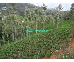 75 Cents Property for sale in Kotagiri