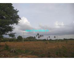 25 Acre Agricultural Land Sale For Outrate Near Gouribidanur