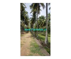 40 Acres Coconut Farm Land Of Sale Near Pollachi