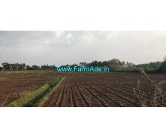 1.30 Acre Farm Land For Sale Near Mysore