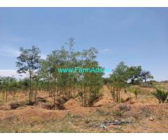 Developed Land 3 Acre 25 Kunta sale near Koratagere Taluk