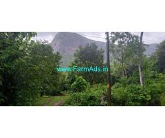 3 Acre Mango Farm Land  For Sale Near Govindhapuram
