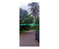 3 Acre Mango Farm Land  For Sale Near Govindhapuram