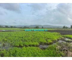 100 Acre agriculture land for sale in Roha