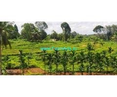 35 acres Agriculture land sale near Belthangady