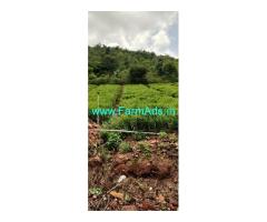 3 acre 37 gunta Farm Land sale at Shanthipura village