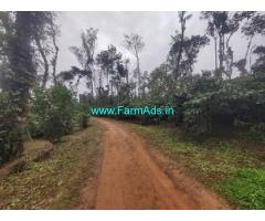 2 acre coffee plantation for sale in Sakleshpur