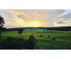 3.22 Acre Coffee Plantation For Sale In Belur