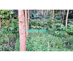 3.22 Acre Coffee Plantation For Sale In Belur
