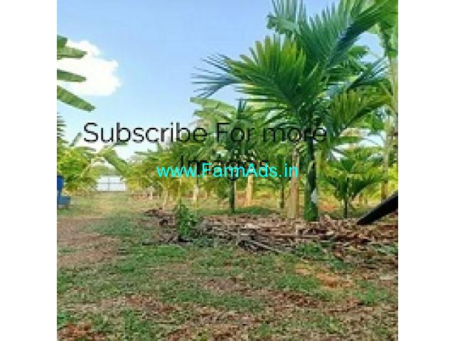 1 Acre Property 12 Gunte Karab Farm Land For Sale Near Ramanagara