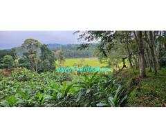 8 Acre Well Maintained Coffee Plantation For Sale In Sakleshpura