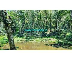 34 Acre Well Maintained Coffee Estate For Sale In Chikmagalur