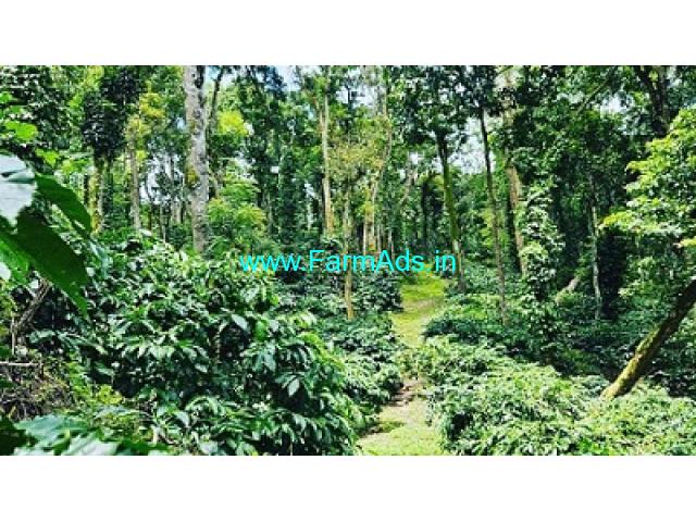 20 Acre Well Maintained Robusta Plantation Sale In Chikmagalur
