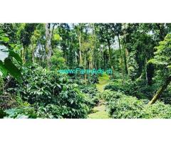 20 Acre Well Maintained Robusta Plantation Sale In Chikmagalur