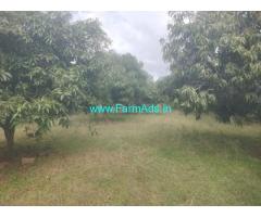 2 Acres Of Mango Farm land for sale near Chintamani