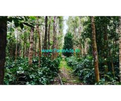 4 acre well maintained coffee estate for sale in Chikmagalur