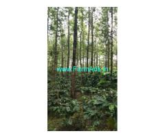 4 acre well maintained coffee estate for sale in Mallenhalli road