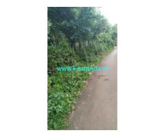 4 acre well maintained coffee estate for sale in Mallenhalli road