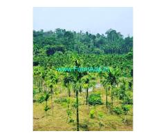 3 acre 6 Gunta plantation for sale in Sakleshpur