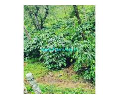 10 acre well maintained plantation for sale in Gendehalli