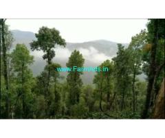 9 Acre Coffee Estate For Lease 15 km from Madikeri