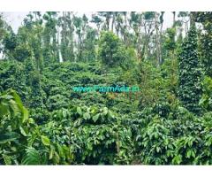 12 acres Robusta coffee estate for sale near Sakleshpur
