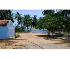 20 acres high yield coconut farm for sale in Udumelpet