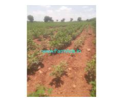 1 Acre Agriculture Land For Sale 3 Km From Rajiv Rahadari