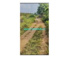 4 Acres Agriculture Land For Sale 12 km From Thorrur