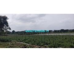 2.16 acre Coconut Farm Land for Sale near Mysore