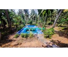 5 acres farm with Kerala type bungalow for sale in Kinathukadavu
