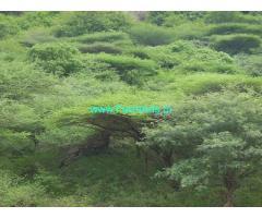 7 Acer Farm Land  For Sale At Palayan