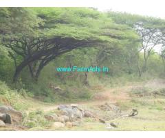 7 Acer Farm Land  For Sale At Palayan