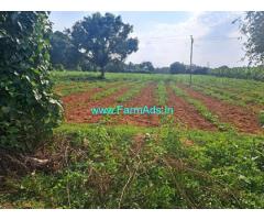 24 Gunta Agriculture Land For Sale Near Mysore