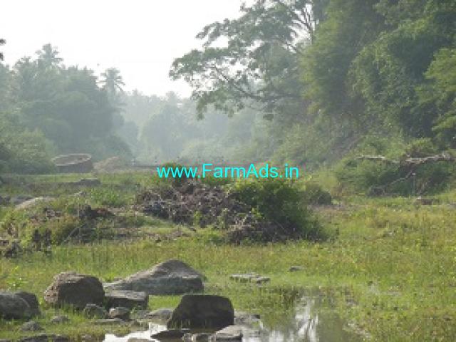 7 Acre Farm Land for sale at Palayan