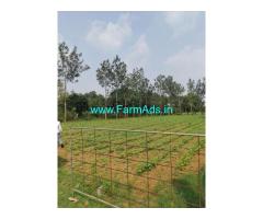 10 Gunta Farm land for sale in Yelvala