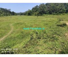 Well Maintained 4 Acre 16 cents coconut Farm for sale at Palayan