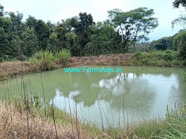 10 acre coffee estate with farm house for sale in Hassan