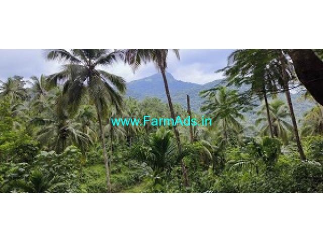 650 acres agricultural estate for sale near Belthangady