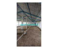 6 Acres Running poultry farm for sale near Kolar