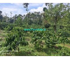 3.5 acre Robusta plantation sale in Mudigere